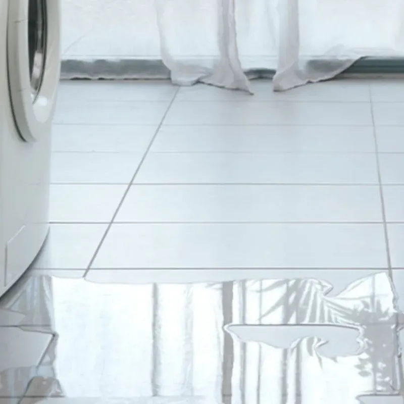 Appliance Leak Cleanup in Erie, KS