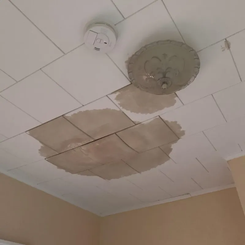 Ceiling Water Damage Repair in Erie, KS