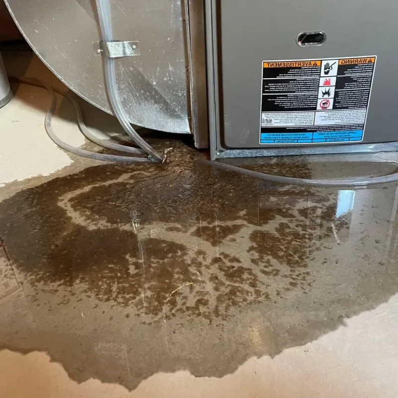 Pipe Burst and Leak Restoration in Erie, KS