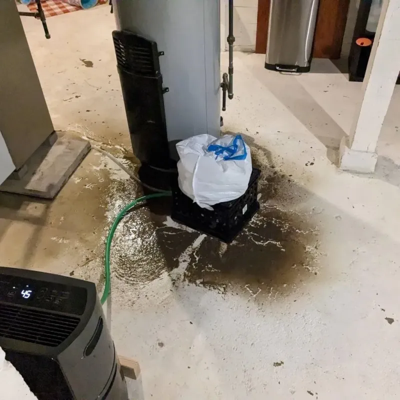 Sewage Backup Cleanup Service in Erie, KS